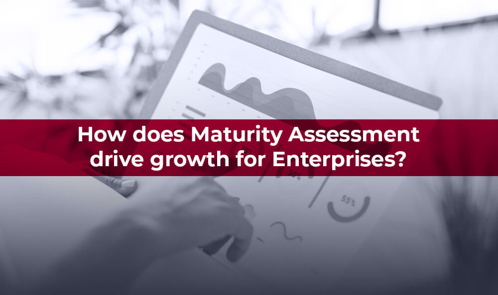 How does Maturity Assessment drive growth for Enterprises?